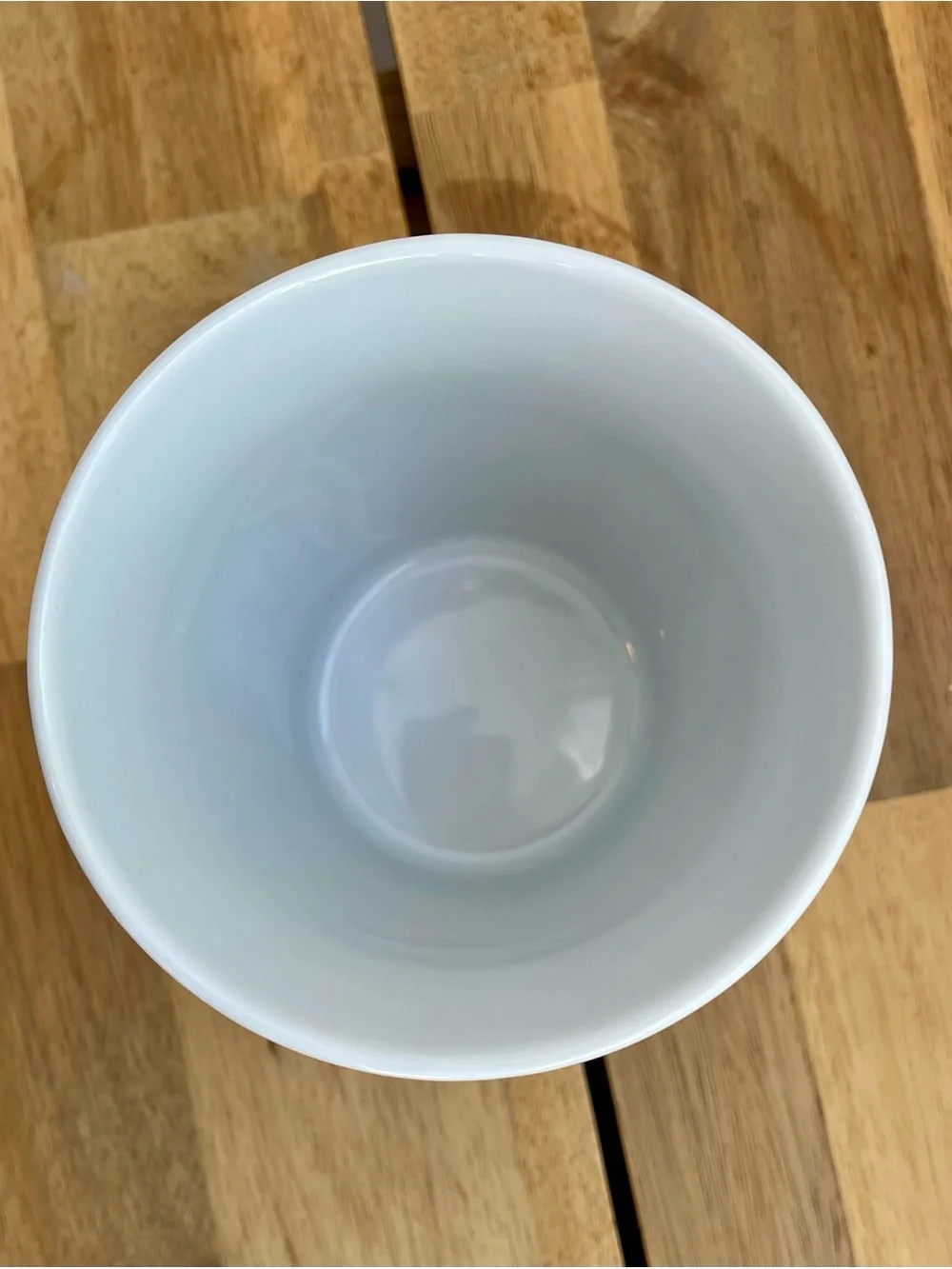 IKEA Ceramic Mug with Teal Tropical Line-Art